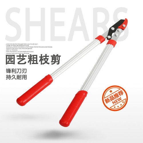 市下园林粗枝剪 果树修枝剪 大力剪刀粗树枝剪花木园艺工具剪树枝