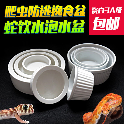 包邮爬虫防逃逸食盆宠物蛇饮水泡水盆爬宠鬃狮蜥蜴守宫豹纹水盆 - 封面