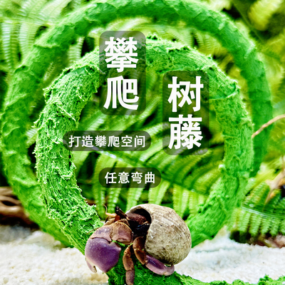 寄居蟹攀爬藤条大小号可任意弯曲装饰树藤爬宠箱藤蔓缸内造景