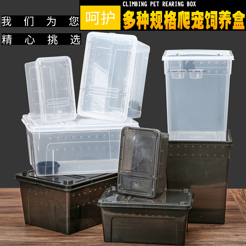 螃蟹饲养盒角蛙饲养盒乌龟缸