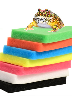 角蛙专用生化棉蝾螈海绵树蛙钟角水龟过滤棉角蛙垫材细孔海绵