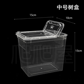 中号树栖盒昆虫幼体饲养盒蜘蛛蝎子翻盖透气树栖盒蜘蛛盒迷你盒