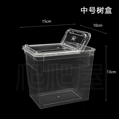 中号树栖盒昆虫幼体饲养盒蜘蛛蝎子翻盖透气树栖盒蜘蛛盒迷你盒