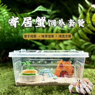 寄居蟹新手套餐饲养盒子专用缸沙造景箱套餐豆丁相守蟹沙蟹饲养缸