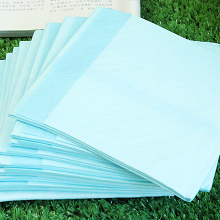 包邮陆龟蜥蜴变色龙加湿垫守宫蛇蟒隔液垫猫狗刺猬尿片尿垫吸水,宠物/宠物食品及用品,玩具/造景装饰,淘宝优惠券,粉丝福利购,淘宝优惠卷