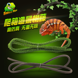 爬虫宠箱网箱造景树藤藤条变色龙绿鬣蜥蜴蛇饲养箱树藤条藤蔓包邮