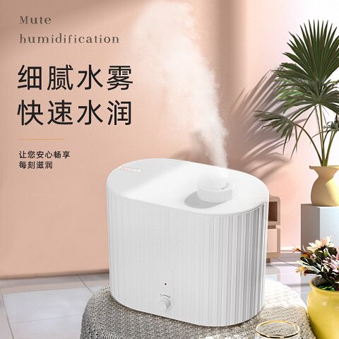 SEEDEN西点加湿器家用卧室增湿机3L大容量办公室桌面加湿XD-3002A