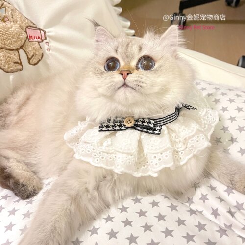 Ginny小草莓宠物口水巾猫狗围脖