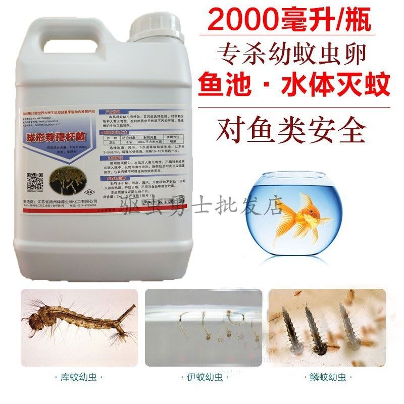 下水道臭水沟灭蚊子卵孑孓杀虫剂