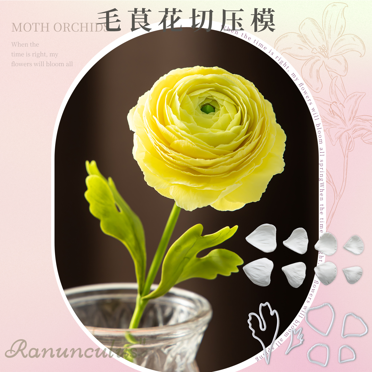 毛茛切模糖花切压模蛋糕模洋牡丹