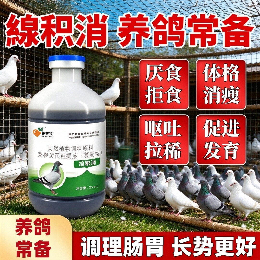 爱睿牧鸽子植物原液调理肠胃