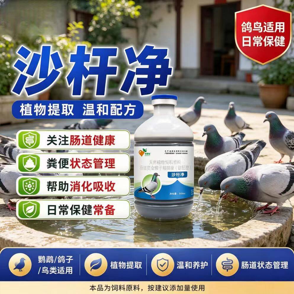沙杆净赛鸽沙门氏肠道保健液鹦鹉鸟类通用纯植物提取改善粪便状态