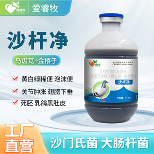 爱睿牧 沙杆净 鸽子沙门氏 大肠杆菌 肠炎 天然植物 更安全