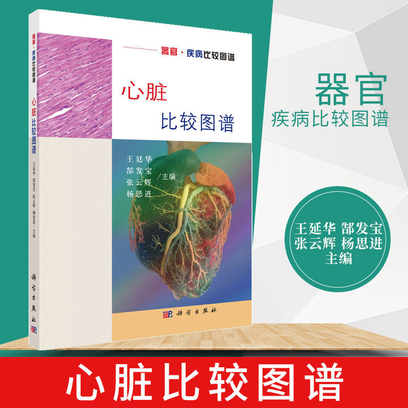 心脏比较图谱 王廷华 心血管病学 医学图谱 人体解剖学 医学或者动物