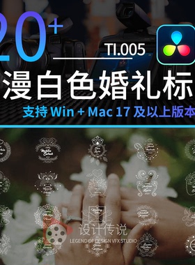 达芬奇模板预设插件 20组 浪漫白色婚礼标题文字 Wedding Titles