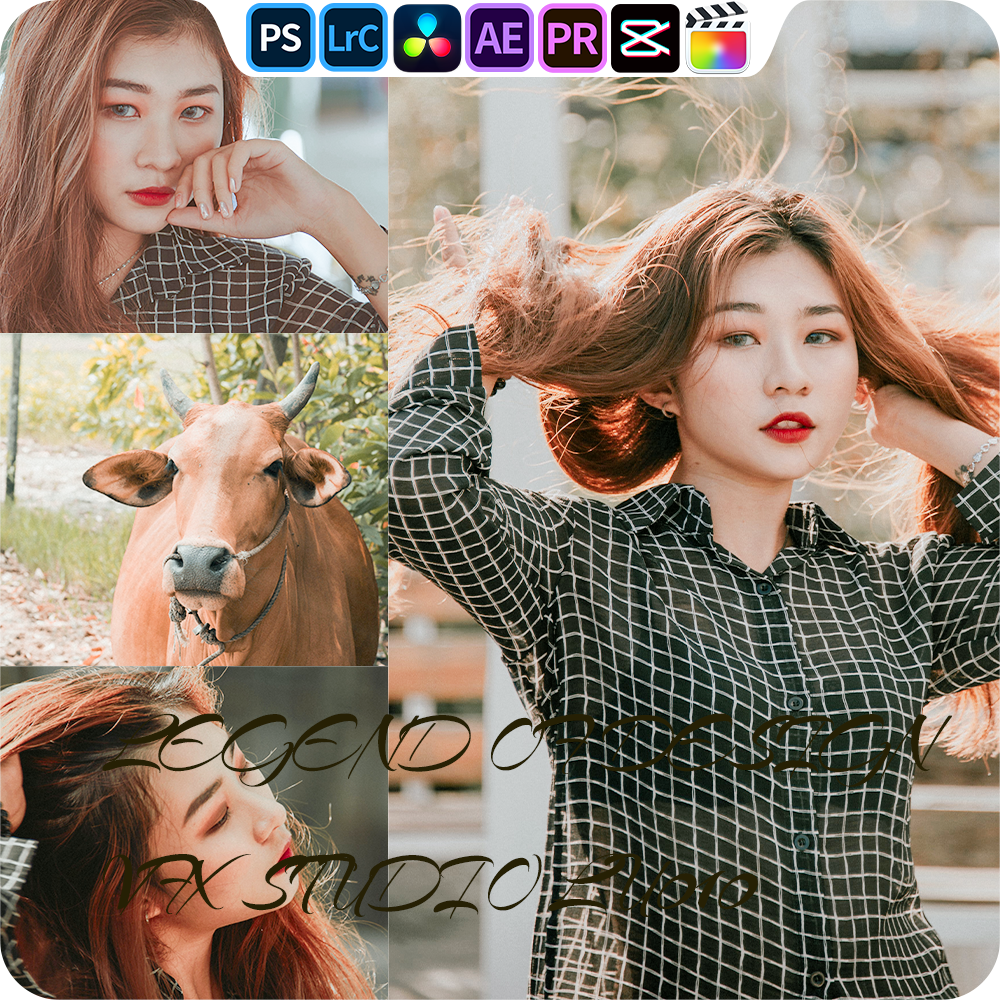 ROS204 时光胶片复古|lr预设PR滤镜PS达芬奇LUTs达芬奇剪映FCP