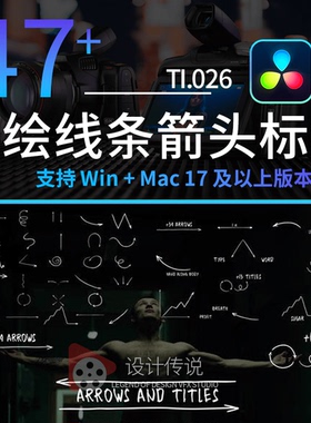 达芬奇模板 47个手绘线条箭头标注文字标题动画Arrows And Titles