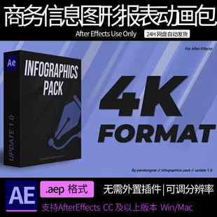 A模板 公司企业商务信息图形报表动画包 AE素材模板