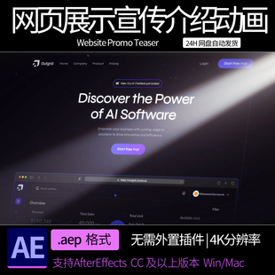 AE模板 ae素材模板 公司企业网站网页展示宣传介绍动画