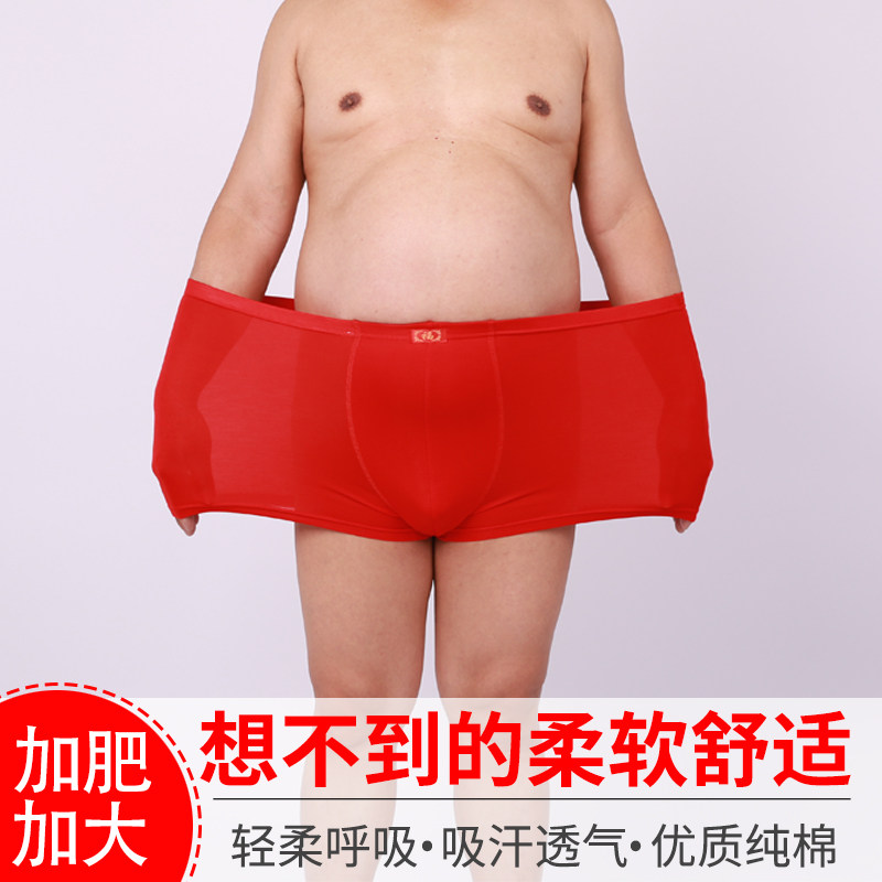 Blessing Flat angle Underwear man Large comfortable ventilation pure cotton Sweat Four shorts Middle and old age Solidin the Lingerie/Men's underwear/Tracksuit , Briefs  category - from Buy2taobao.com to provide professional Taobao agent buy service