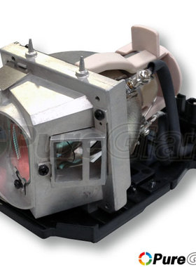 OPTOMA奥图码投影仪灯泡EW766 EW766W X125 EX765 EX765W EX766 EX766W TW766W TX765W带灯架SP.8BY01GC01