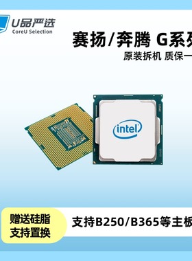 G3900 3930 4400 4500 4560 4600 4900 4930 5400 5420 5500 CPU