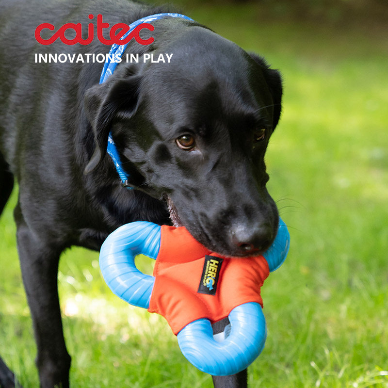 美国狗狗发声玩具 三角飞盘 柔软较重可投掷可互动 适合中大型犬