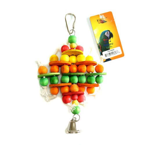 paradise美国天堂鸟小鹦鹉