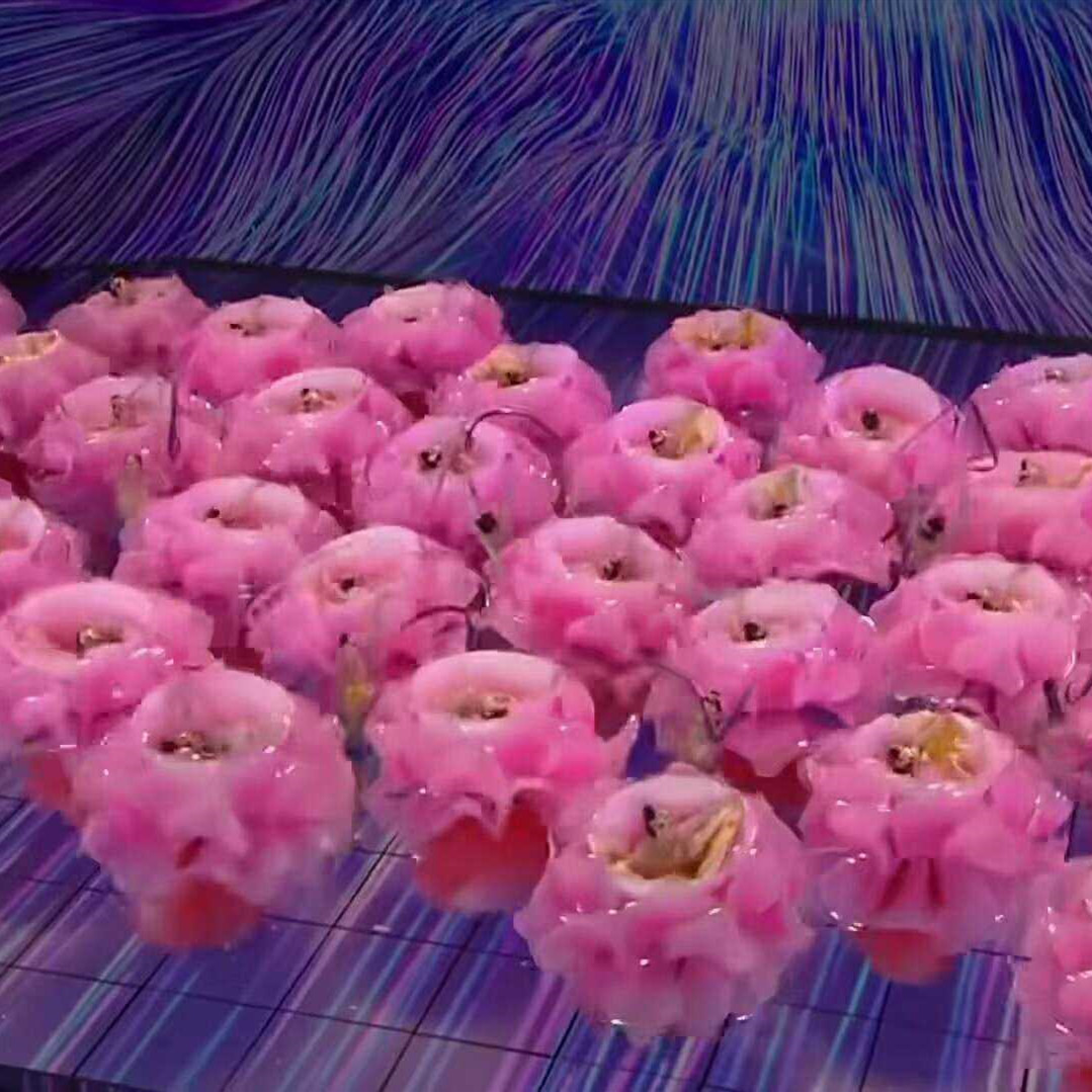 央视春晚同款春潮海舞蹈服装钢丝花瓣开场舞歌伴舞裙造型演出服长