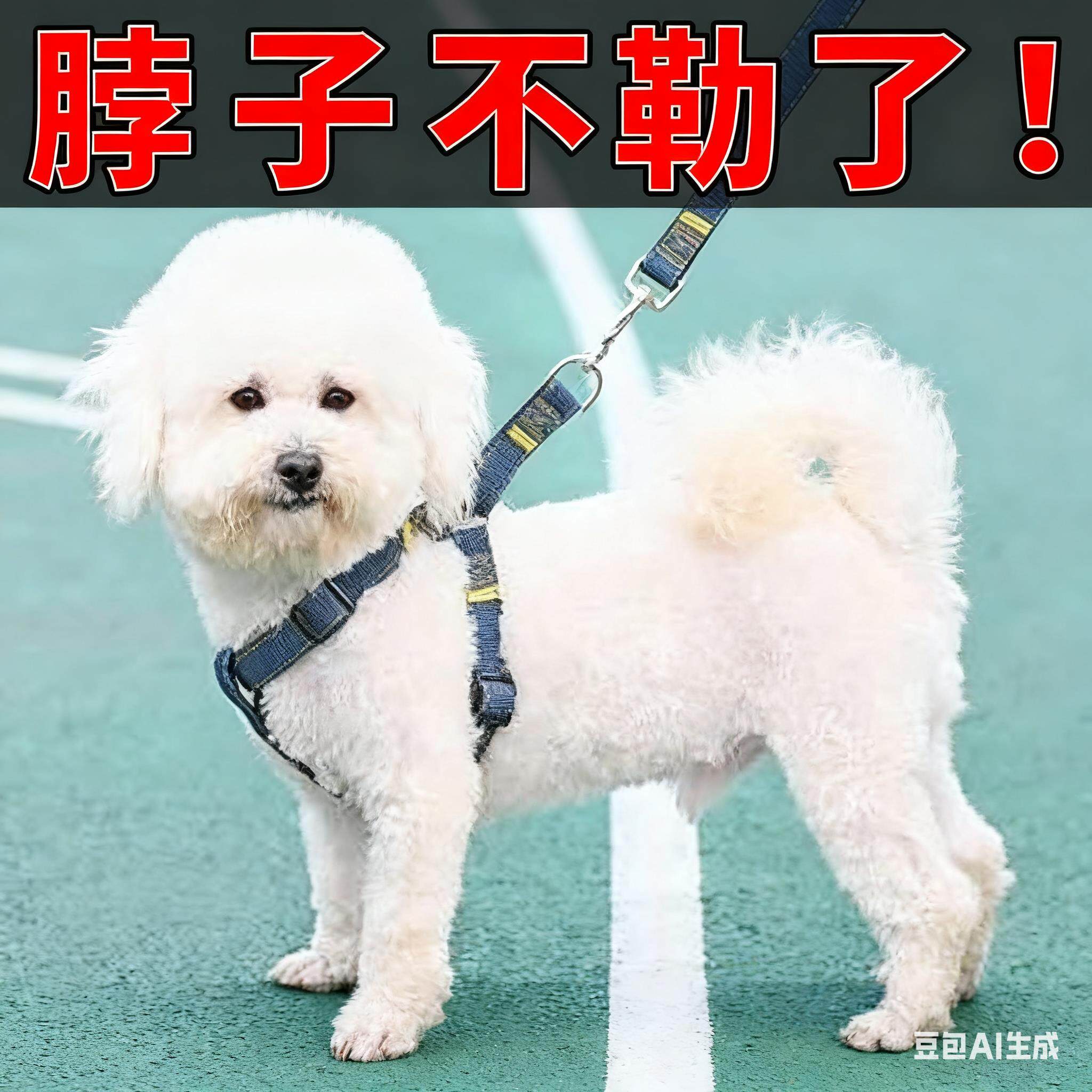 狗狗牵引绳脖圈小中大型幼犬宠物泰迪博美比熊金毛胸背带遛狗链子