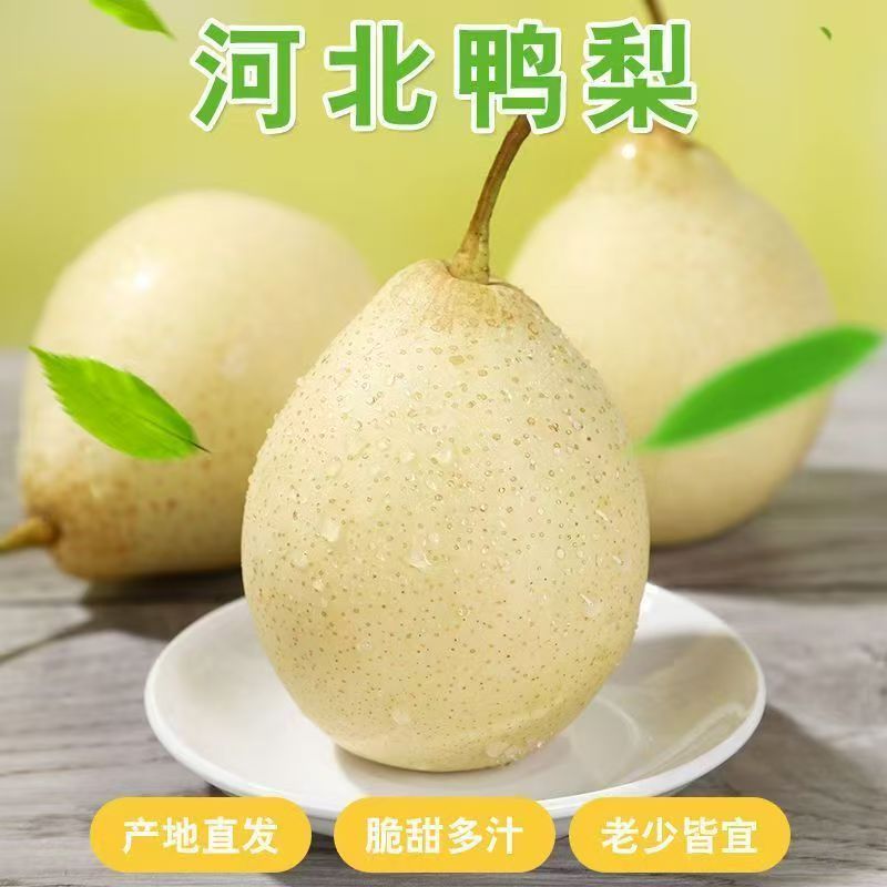 梨子鸭梨河北大鸭梨水晶梨新鲜水果梨子脆甜多汁应季水果整箱包邮