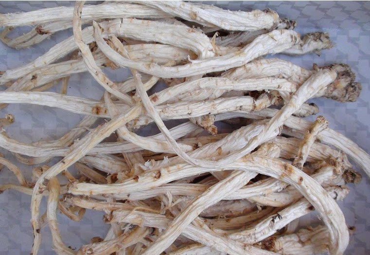 中药材选货桔梗 桔梗片桔梗条桔梗干 山芥梗 新货干品