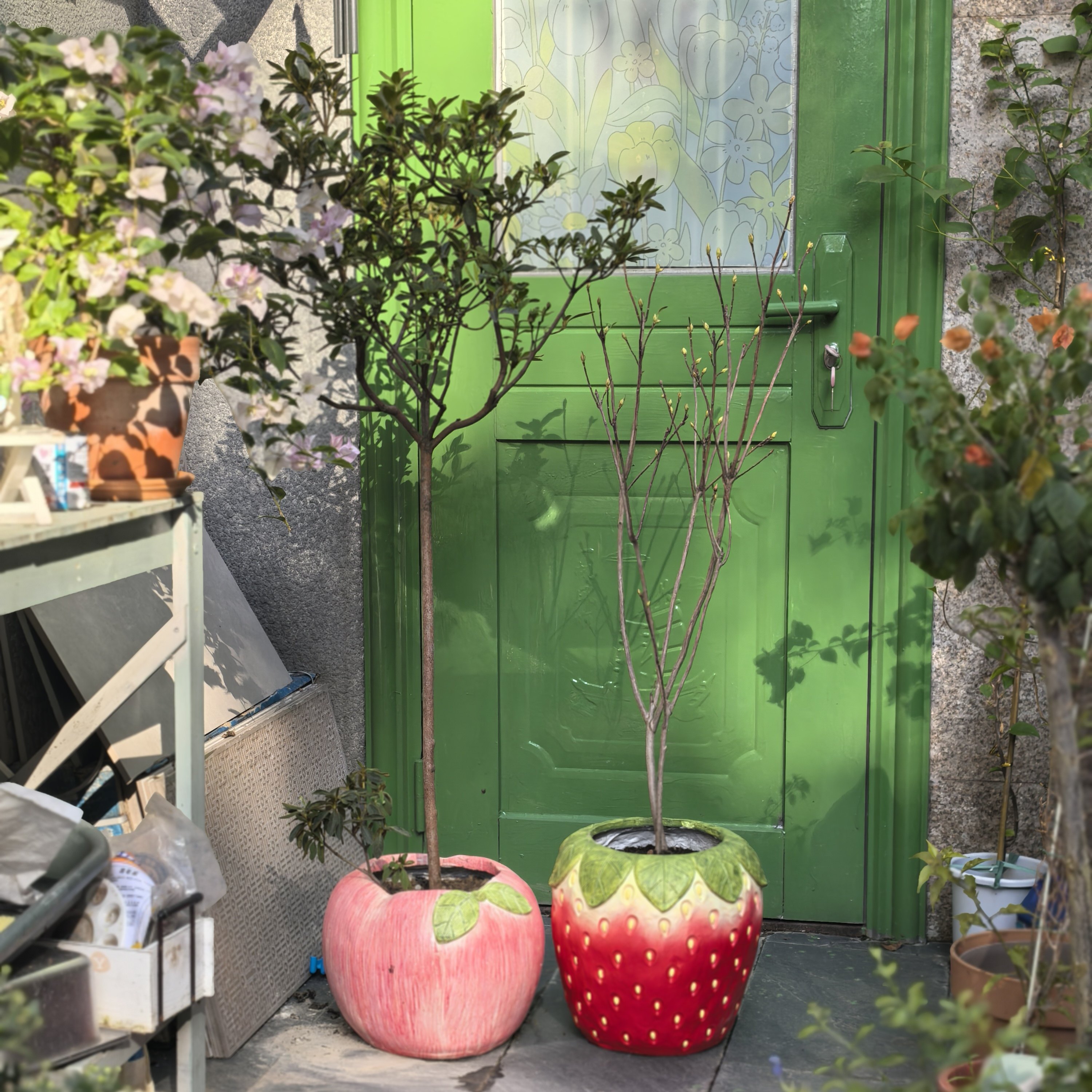 草莓苹果花盆水果花盆氧化镁材质水果系列花园庭院装饰摆件,家居饰品,户外/庭院摆件,淘宝优惠券,粉丝福利购,淘宝优惠卷