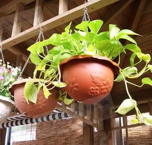 挂起来 悬挂式 阳台最搭5Z 室内绿萝花盆吊篮 吊兰垂吊盆