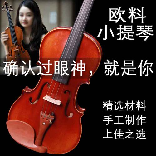 小提琴进口欧料初学者儿童成人