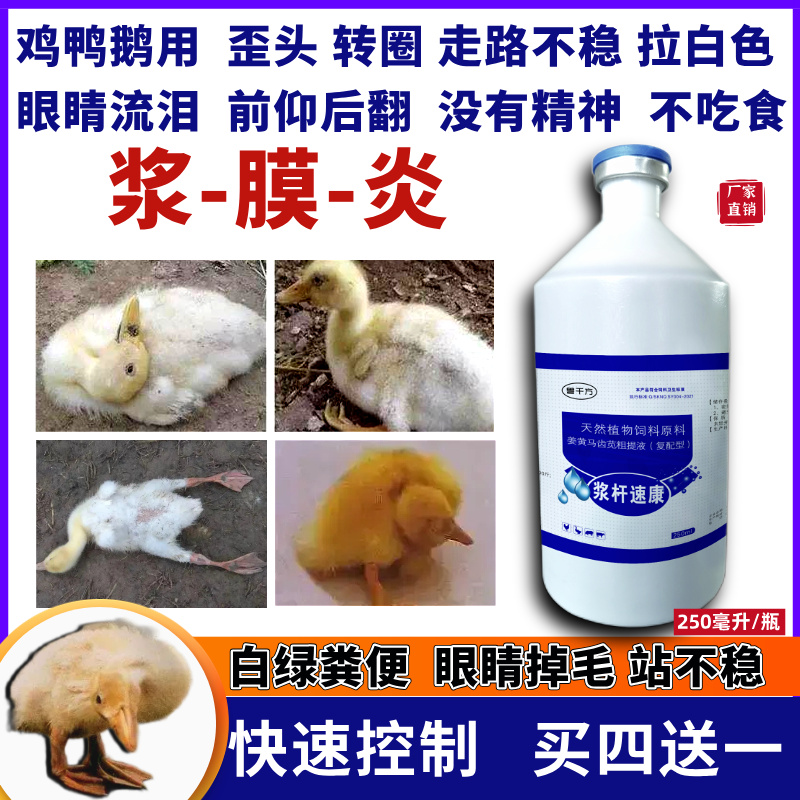 浆杆速康鹅鸭子浆膜炎病专用药