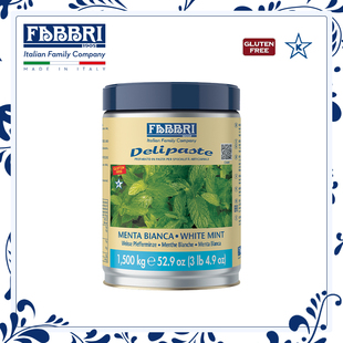 Fabbri法布芮白薄荷调味酱1.5kg