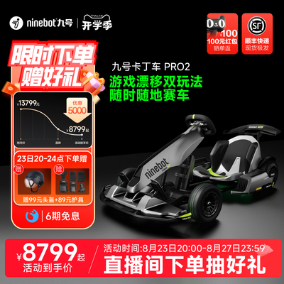 九号Ninebot卡丁车PRO2