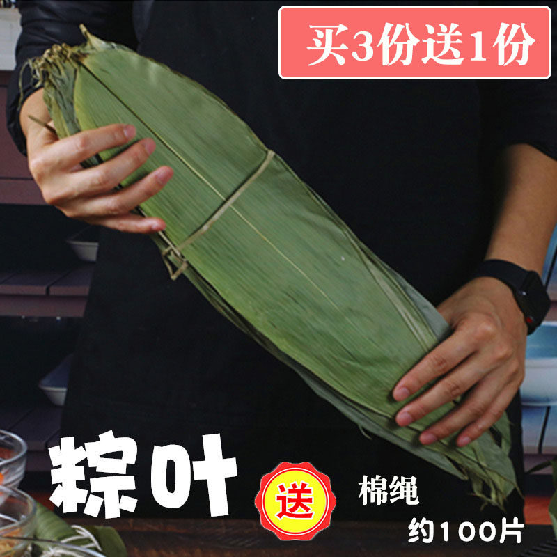 棕叶 大粽子叶包粽子的叶子 种叶芦苇叶新鲜大片大号竹子