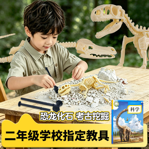 恐龙化石二年级科学考古骨架