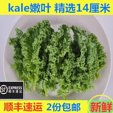 顺丰速运羽衣甘蓝kale嫩叶250g