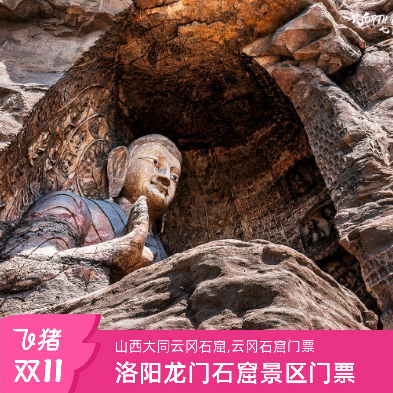 [云冈石窟-大门票]云冈石窟门票 不限时间段 刷身份证入园