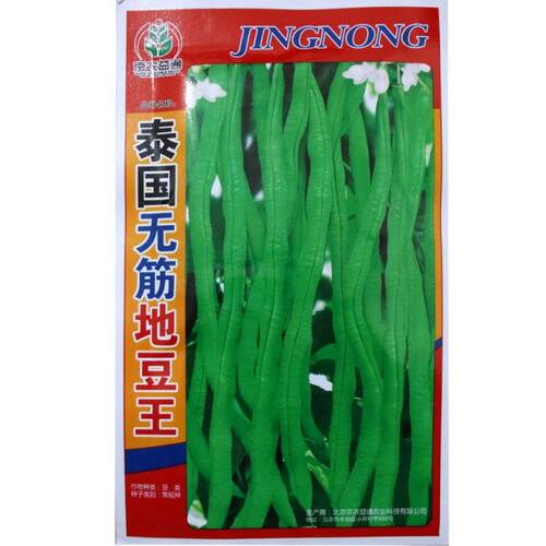 aa泰国无筋地豆王豆角种子四季豆角 免架菜芸豆角 早熟40天 50克