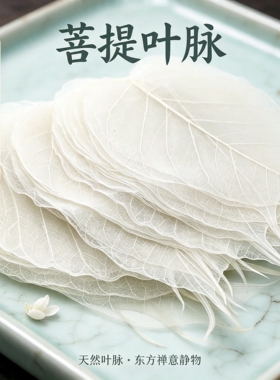 天然菩提工艺叶脉贴画书画唐卡