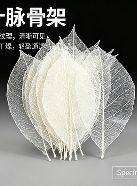 天然橡胶树的叶脉工艺挂画相框叶脉 拍照叶脉道具 标本书签押画花