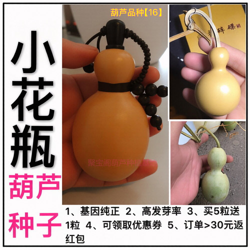 小花瓶手捻文玩葫芦种子盆栽把玩