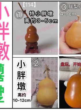 小胖墩葫芦种子天坛小八宝文玩