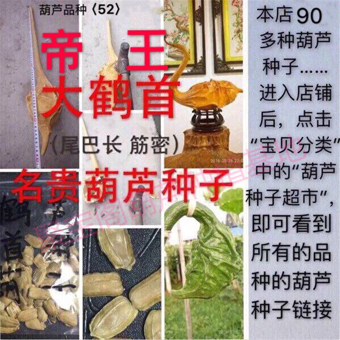 帝王大鹤首葫芦种筋密长柄长尾勒扎巨型超大特小文玩八宝亚腰子籽