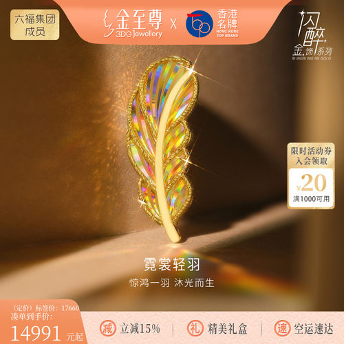 金至尊闪醉金黄金羽毛胸针2025新款炫彩幻彩金硬足金胸针圣诞礼物
