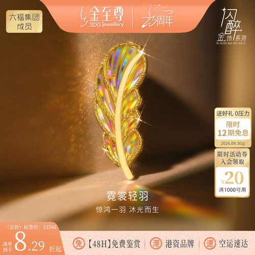 金至尊闪醉金西服礼物黄金羽毛胸针男女款硬足金幻彩炫彩黄金首饰